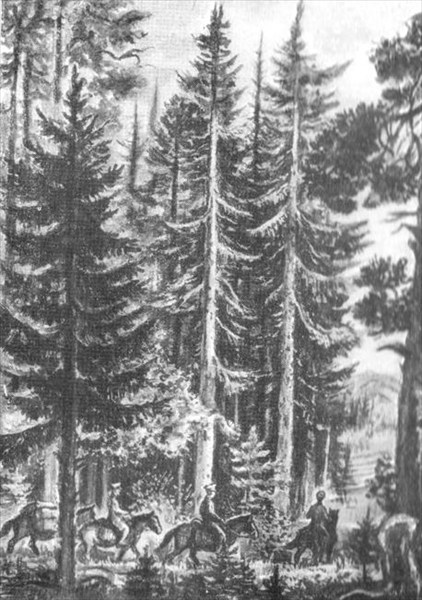 В. Д. Цельмер. Иллюстрация к главе «Обратный путь через Сибирь»